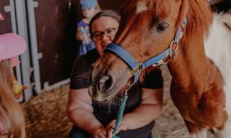 Pferdekurs Theorie & Praxis Pferdeentdecker (5 Termine)