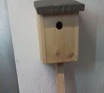 Nistkasten bauen für Kinder von 8 bis 12 Jahren mit einem Elternteil