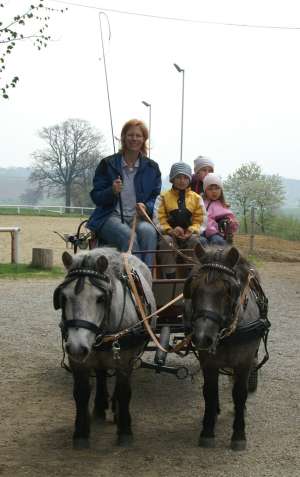 Ausflug mit der Ponykutsche für Kinder ab 4 Jahren