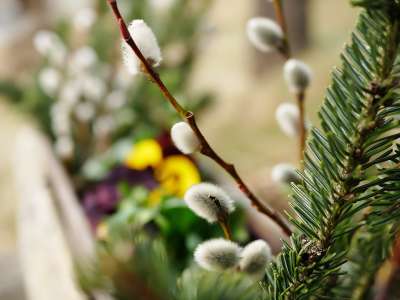 Palmzweige binden mit Kindern