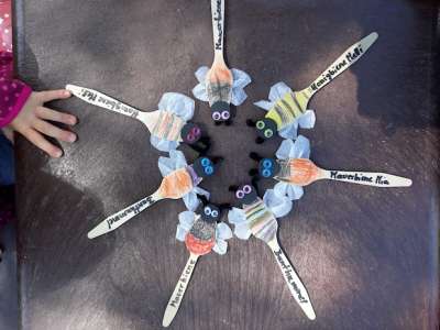 Unterwegs mit wilden Bienen und tapferen Hummeln