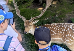 Ausflug zum BergTierPark Blindham