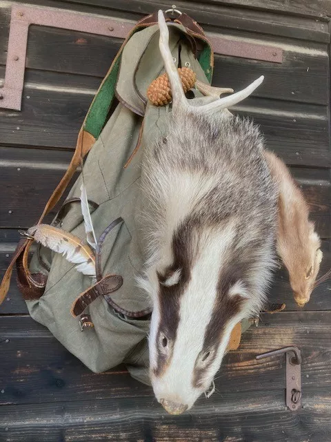 Natur aus dem Rucksack - Familienausflug