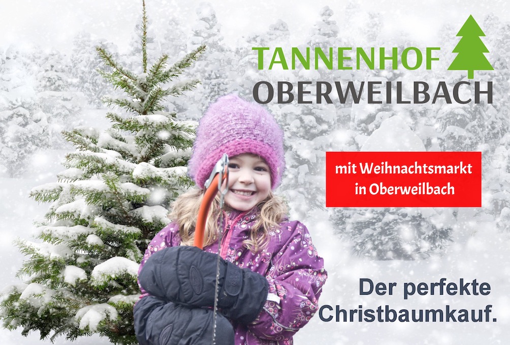 Den Christbaum selber aussuchen und schlagen...