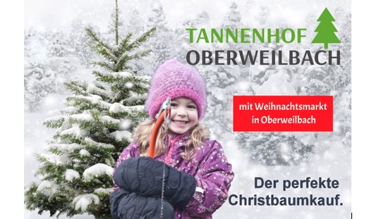 Den Christbaum selber aussuchen und schlagen...