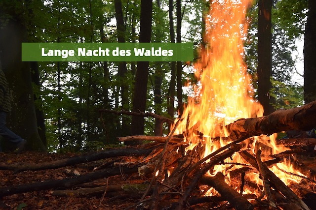 Lange Nacht des Waldes