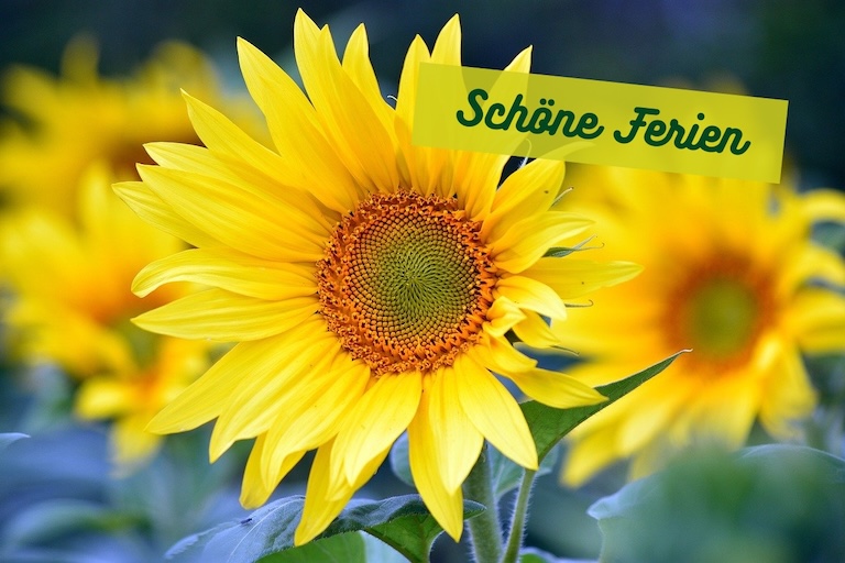KiD wünscht allen Kindern schöne Sommerferien!