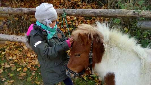 Tolles Programm mit Tieren auf dem Schafflerhof Tolles Programm mit Tieren auf dem Schafflerhof