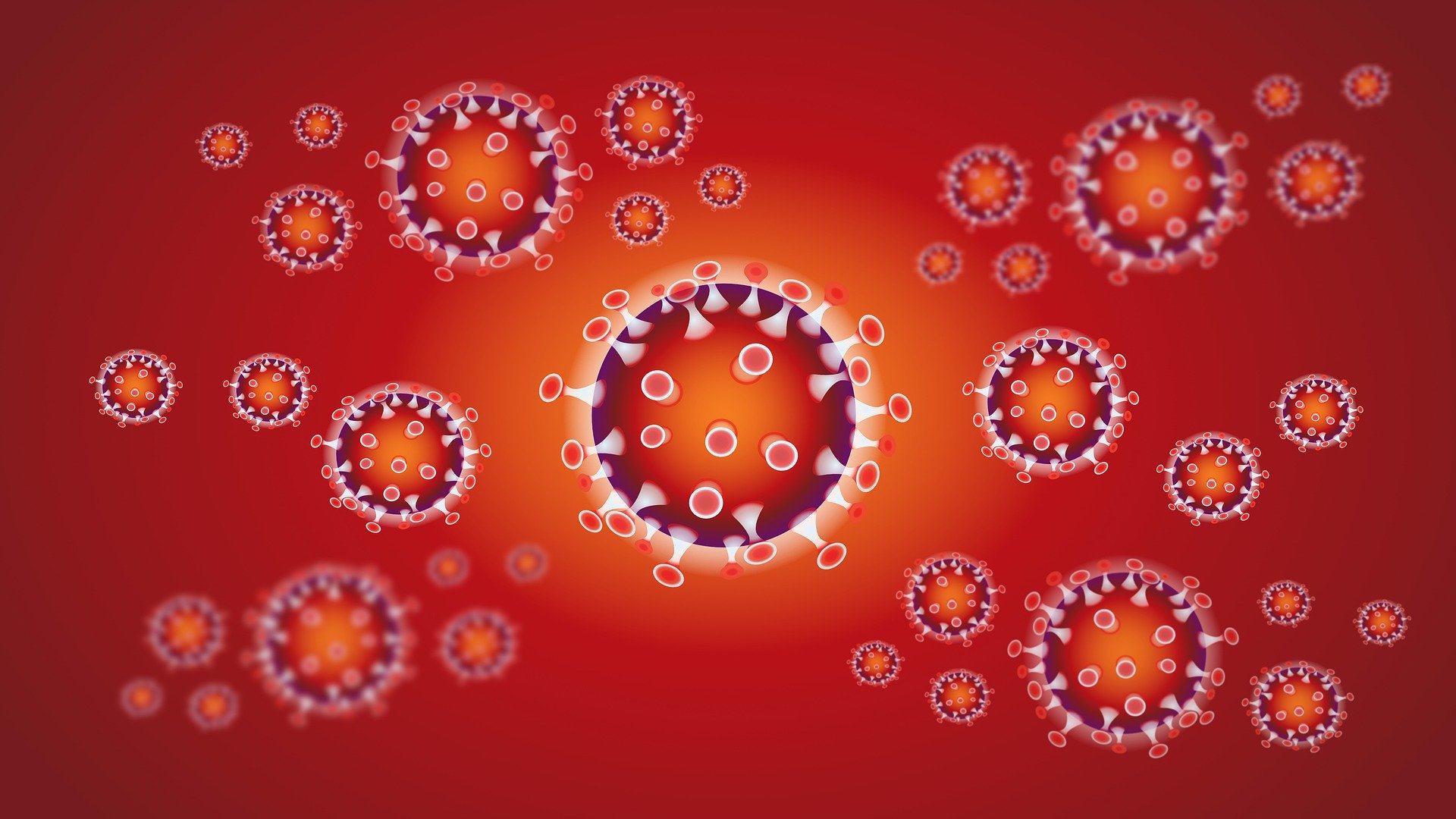 Coronavirus - Meldungen