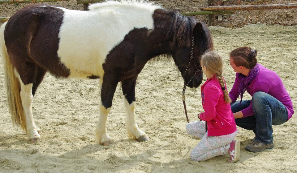 Ponyabenteuertage in den Pfingstferien Ponyabenteuertage in den Pfingstferien