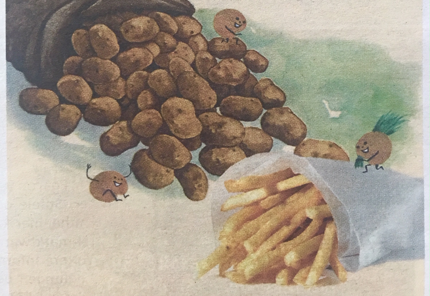 Die Kartoffel - Eine Familienausstellung Die Kartoffel - Eine Familienausstellung