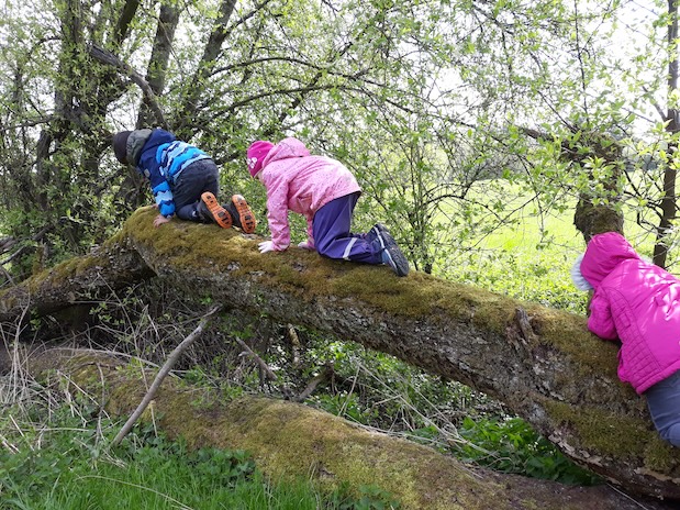 Wo die wilden Beeren wachsen! - Mit den Kindern die Natur entdecken